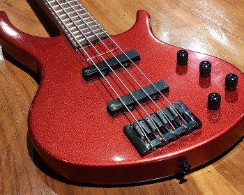 Customized Original Bass Guitars